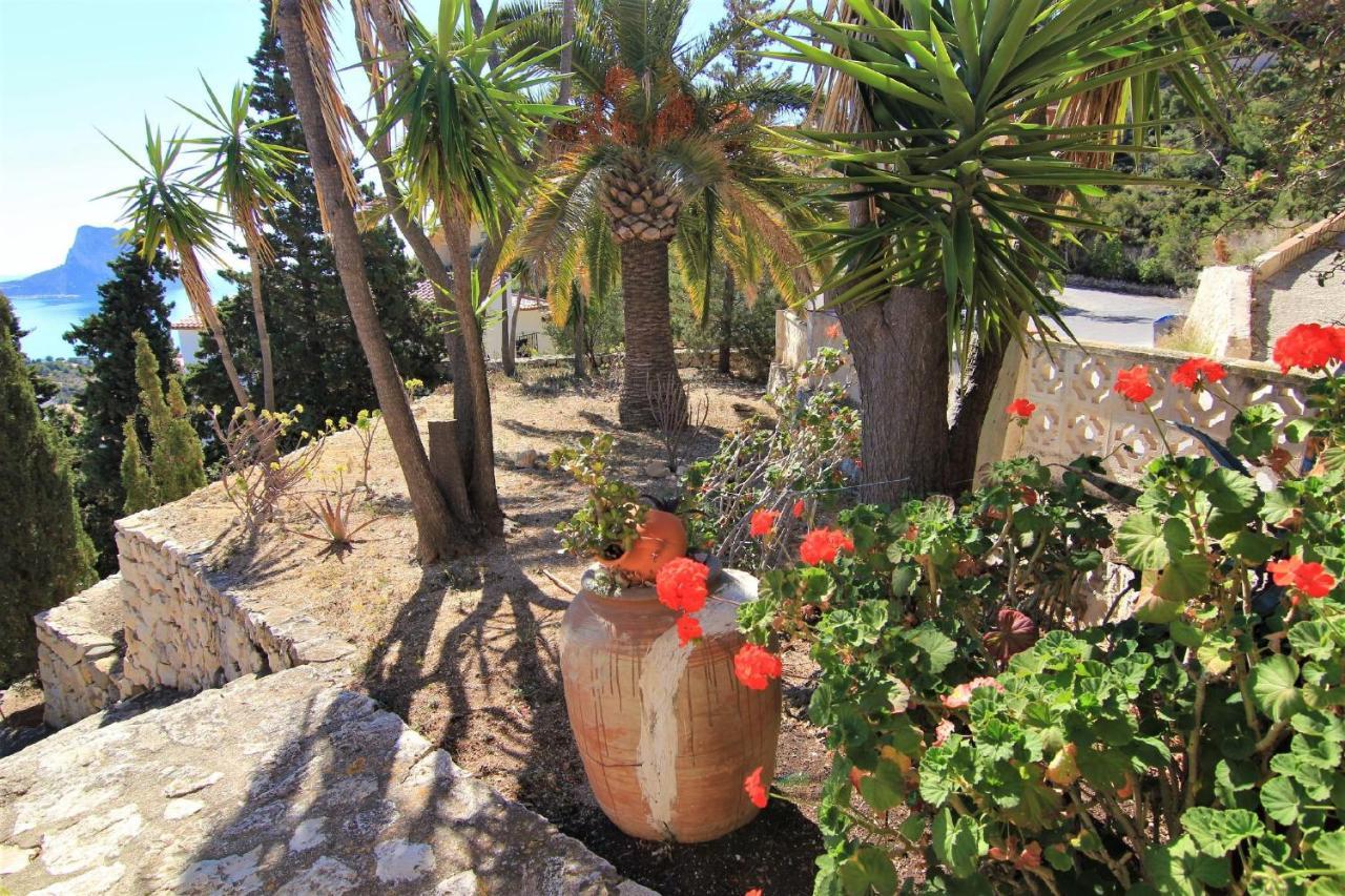 קלפה Maryvilla 0306 מראה חיצוני תמונה